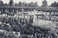 General Cemetery the Essenhof during the war in Dordrecht.