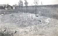 De Tweede Tol in Dubbeldam in mei 1940.