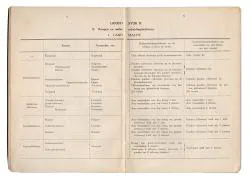 Het Korps Pontonniers en Torpedisten in Dordrecht.