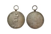 4. Shooting Medal of the Special Volunteer Landstorm thumbnail