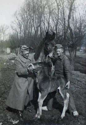 Kapitein Barkmeijer en soldaat Westerdijk - III-14 R.A. Dubbeldam Mobilisatie