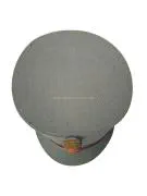 Militair en Mobilisatie.