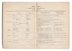 Het Korps Pontonniers en Torpedisten in Dordrecht.