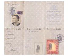Het persoonsbewijs van de in Dubbeldam geboren Mevr. Elizabeth Dubbeldam.