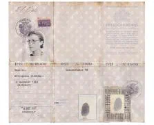 Het persoonsbewijs van de in Dordrecht geboren Mevr. Hillegonda Clasina Engels.