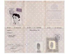 Het persoonsbewijs van de in Dordrecht geboren Mevr. Johanna Engels.