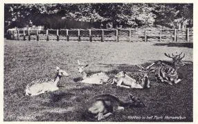 Veldpost park Merwestein 3-II-28 R.I. - 22 mei 1940