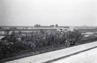 9. Witte vlag Rivierkazemat II in Willemsdorp tijdens de tweede wereldoorlog. thumbnail