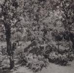 6. Duitse veldgraven in de Kloostertuin van Moerdijk in mei 1940. thumbnail
