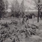 7. Duitse veldgraven in de Kloostertuin van Moerdijk in mei 1940. thumbnail