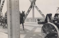 31. Troepenverplaatsingen over de Moerdijkbrug in mei 1940. thumbnail