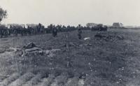13. Duitse parachutisten en een Panzer II van de 9e pz. division in de buurt van de Tweede Tol tijdens de tweede wereldoorlog. thumbnail