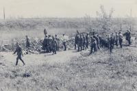 15. Nederlandse militairen bij veldgraven bij de Tweede Tol in Dordrecht tijdens de tweede wereldoorlog. thumbnail