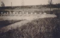 26. Nederlandse veldgraven bij de Tweede Tol in Dubbeldam in mei 1940. thumbnail