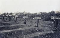 6. Fallschirmjäger graven in tussen de Zanddijk en de de Tweede Tol in Dordrecht tijdens de tweede wereldoorlog. thumbnail