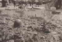 10. Nederlandse veldgraven bij villa Amstelwijck in mei 1940. thumbnail