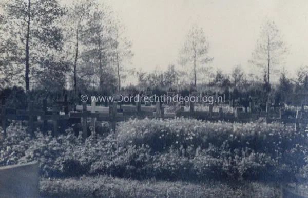 13.  Duitse Parachutistengraven op de Algemene Begraafplaats in Dordrecht image