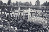 Duitse oorlogsgraven Algemene begraafplaats in Dordrecht thumbnail