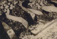 Duitse militaire begraafplaats op de algemene begraafplaats in Dordrecht tijdens de tweede wereldoorlog thumbnail