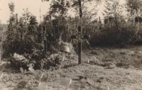 Duitse parachutistengraven op de Algemene Begraafplaats in Dordrecht in mei 1940 thumbnail
