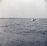 10.4 Kriegsmarine fotoalbum Dordrecht. thumbnail