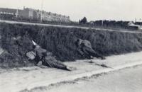 13. Nederlandse gesneuvelden op de Rijksstraatweg in Dordrecht tijdens de tweede wereldoorlog thumbnail