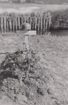 33. The field grave of paratrooper Willi Schröder in Wieldrecht in May 1940 thumbnail
