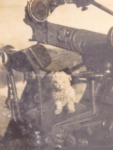 32. Teddy. image