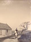 63. Paardrijden in de omgeving van Moerdijk. thumbnail